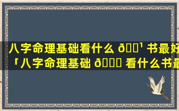 八字命理基础看什么 🌹 书最好「八字命理基础 🐟 看什么书最好用」